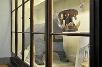 hippo specola 8-2017 1451